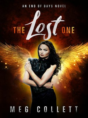 cover image of The Lost One